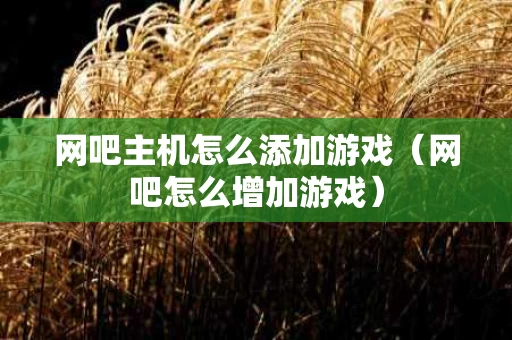 网吧主机怎么添加游戏（网吧怎么增加游戏）
