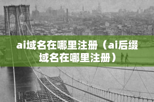 ai域名在哪里注册（ai后缀域名在哪里注册）