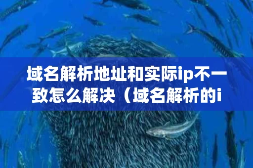 域名解析地址和实际ip不一致怎么解决（域名解析的ip地址是公网ip吗）