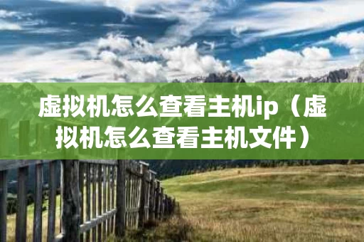 虚拟机怎么查看主机ip（虚拟机怎么查看主机文件）