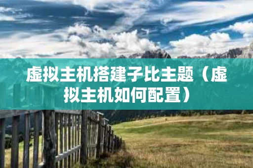 虚拟主机搭建子比主题（虚拟主机如何配置）