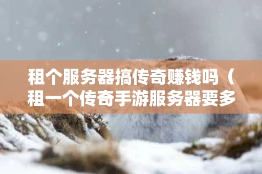 租个服务器搞传奇赚钱吗（租一个传奇手游服务器要多少钱）
