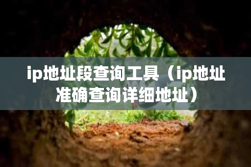 ip地址段查询工具（ip地址准确查询详细地址）