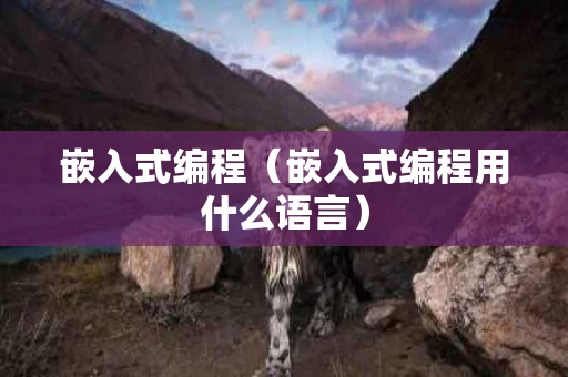 嵌入式编程（嵌入式编程用什么语言）
