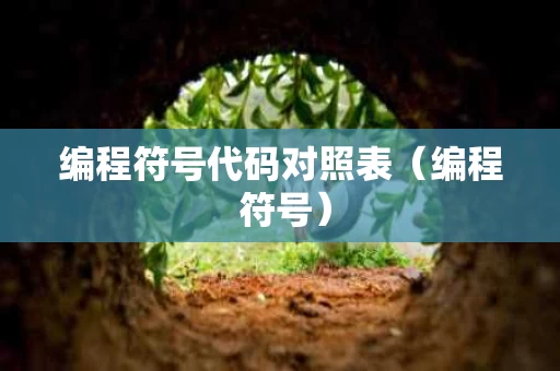 编程符号代码对照表（编程 符号）