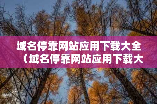 域名停靠网站应用下载大全（域名停靠网站应用下载大全2021）
