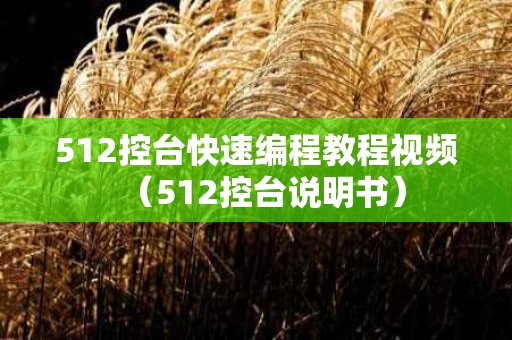 512控台快速编程教程视频（512控台说明书）