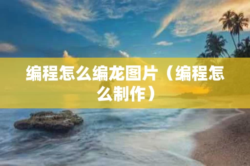 编程怎么编龙图片（编程怎么制作）