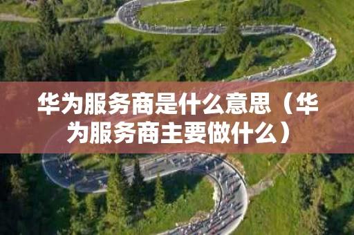 华为服务商是什么意思（华为服务商主要做什么）