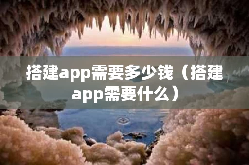 搭建app需要多少钱（搭建app需要什么）