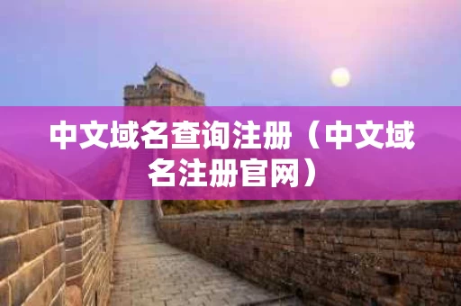 中文域名查询注册（中文域名注册官网）