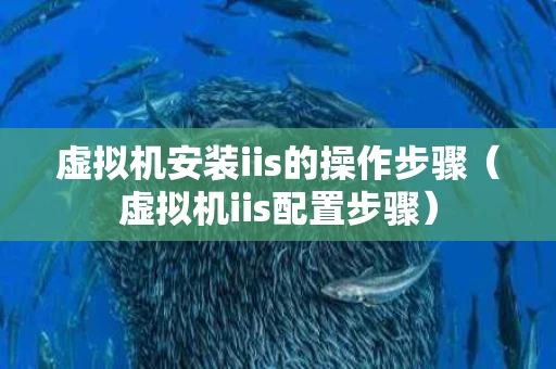 虚拟机安装iis的操作步骤（虚拟机iis配置步骤）