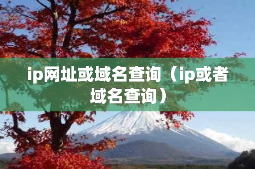 ip网址或域名查询（ip或者域名查询）