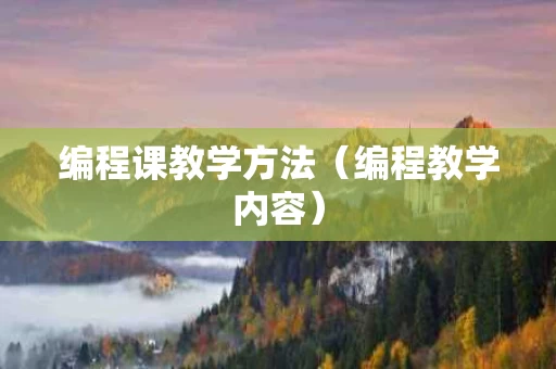 编程课教学方法（编程教学内容）