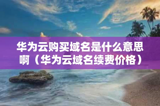 华为云购买域名是什么意思啊（华为云域名续费价格）