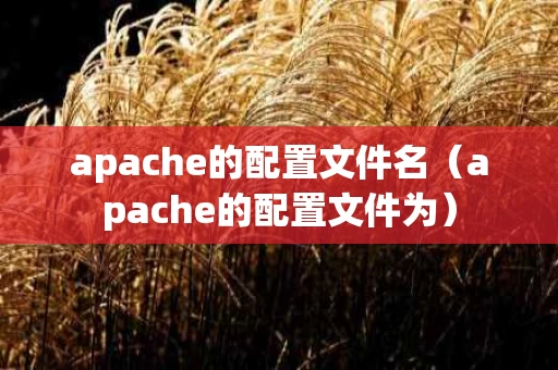 apache的配置文件名（apache的配置文件为）