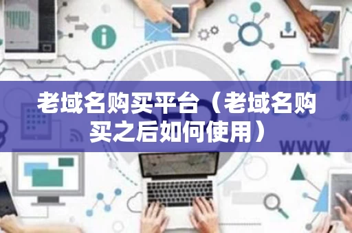 老域名购买平台（老域名购买之后如何使用）