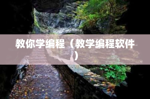 教你学编程（教学编程软件）