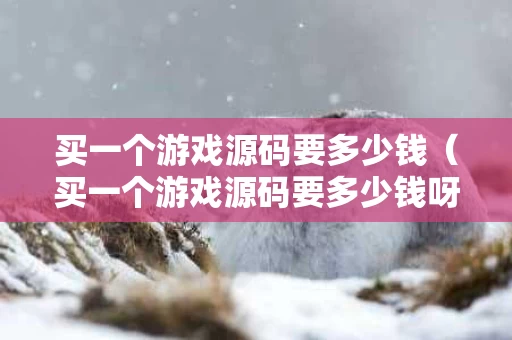 买一个游戏源码要多少钱（买一个游戏源码要多少钱呀）