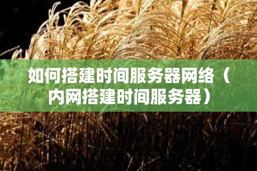 如何搭建时间服务器网络（内网搭建时间服务器）
