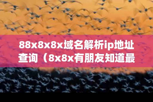 88x8x8x域名解析ip地址查询（8x8x有朋友知道最新域名吗）