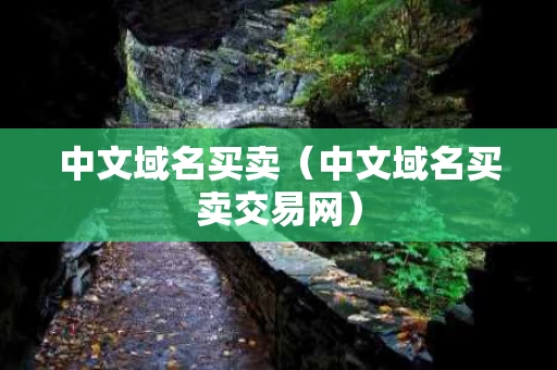 中文域名买卖（中文域名买卖交易网）