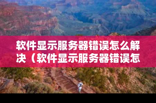 软件显示服务器错误怎么解决（软件显示服务器错误怎么解决的）