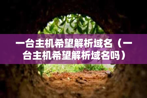 一台主机希望解析域名（一台主机希望解析域名吗）