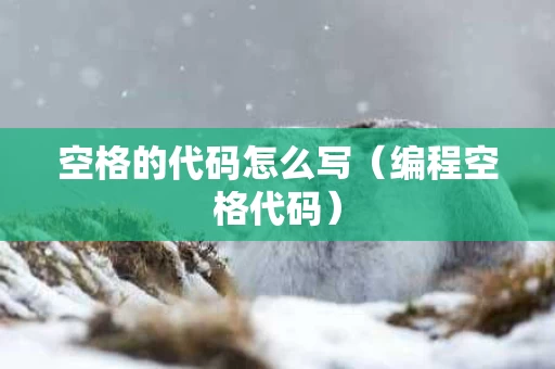 空格的代码怎么写（编程空格代码）