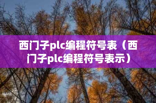 西门子plc编程符号表（西门子plc编程符号表示）