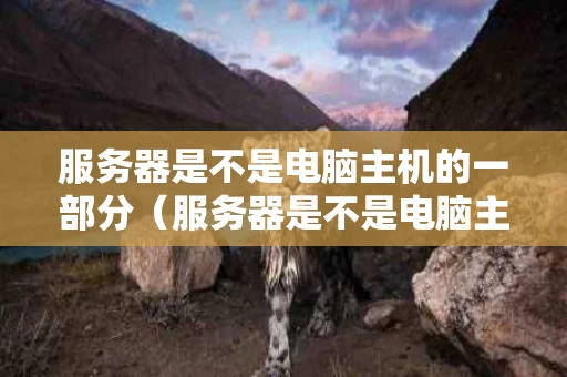 服务器是不是电脑主机的一部分（服务器是不是电脑主机的一部分组成）