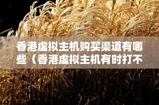 香港虚拟主机购买渠道有哪些（香港虚拟主机有时打不开网站）