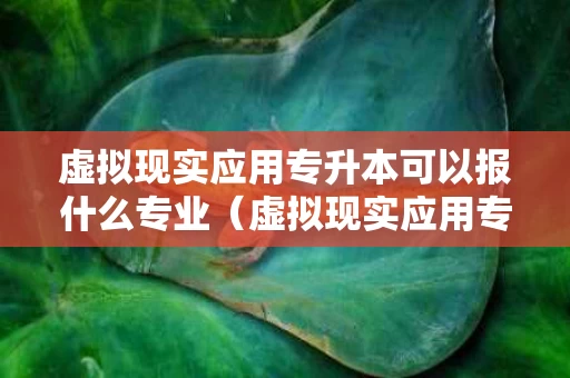 虚拟现实应用专升本可以报什么专业（虚拟现实应用专升本可以报什么专业好）