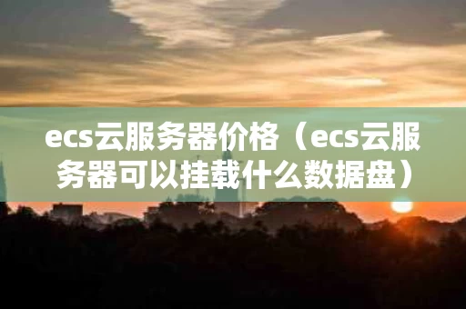ecs云服务器价格（ecs云服务器可以挂载什么数据盘）