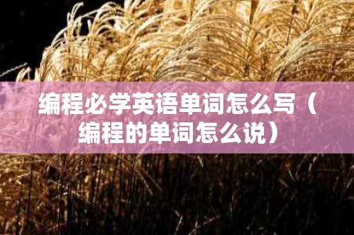 编程必学英语单词怎么写（编程的单词怎么说）