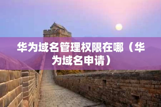 华为域名管理权限在哪（华为域名申请）