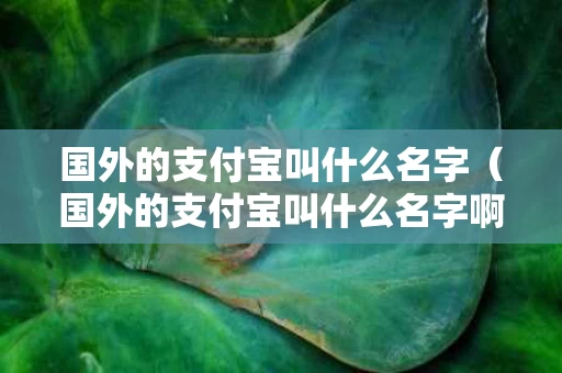 国外的支付宝叫什么名字（国外的支付宝叫什么名字啊）