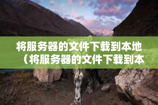 将服务器的文件下载到本地（将服务器的文件下载到本地文件夹）