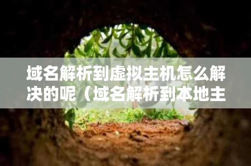 域名解析到虚拟主机怎么解决的呢（域名解析到本地主机）
