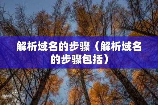 解析域名的步骤（解析域名的步骤包括）