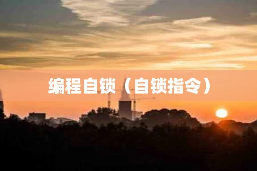 编程自锁（自锁指令）