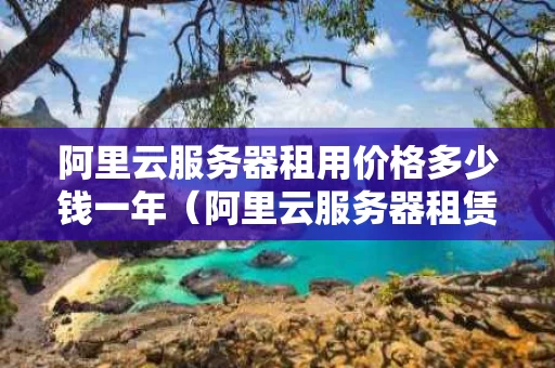 阿里云服务器租用价格多少钱一年（阿里云服务器租赁多少钱一年）