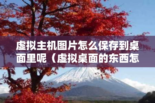 虚拟主机图片怎么保存到桌面里呢（虚拟桌面的东西怎么导出）