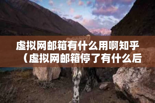虚拟网邮箱有什么用啊知乎（虚拟网邮箱停了有什么后果）