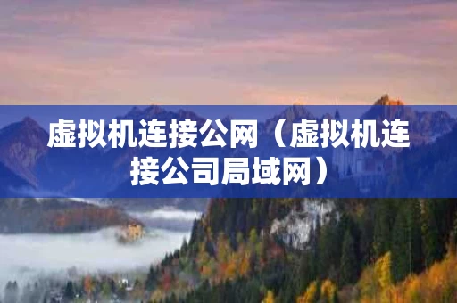 虚拟机连接公网（虚拟机连接公司局域网）