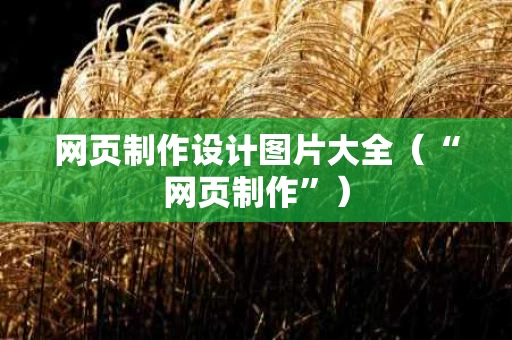 网页制作设计图片大全（“网页制作”）