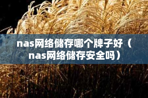 nas网络储存哪个牌子好（nas网络储存安全吗）