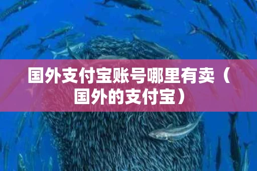 国外支付宝账号哪里有卖（国外的支付宝）