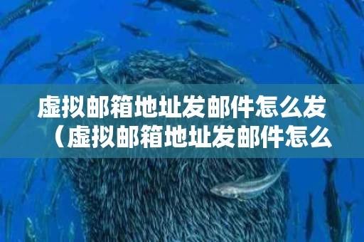 虚拟邮箱地址发邮件怎么发（虚拟邮箱地址发邮件怎么发不出去）