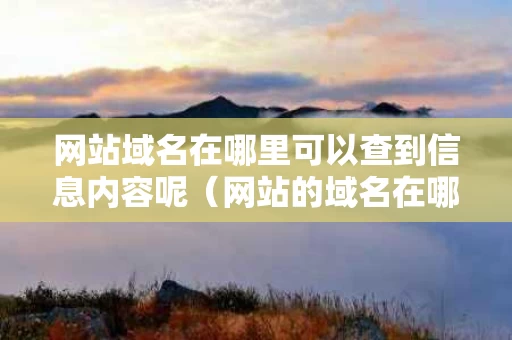 网站域名在哪里可以查到信息内容呢（网站的域名在哪）